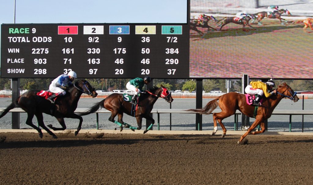 Portland’s Loss, Grants Pass’ Gain Commercial Horse Racing Moves into